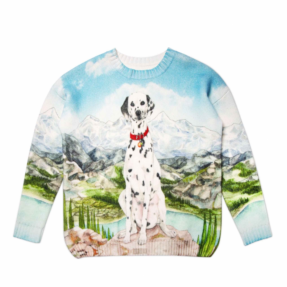 Printed knitwear best sale