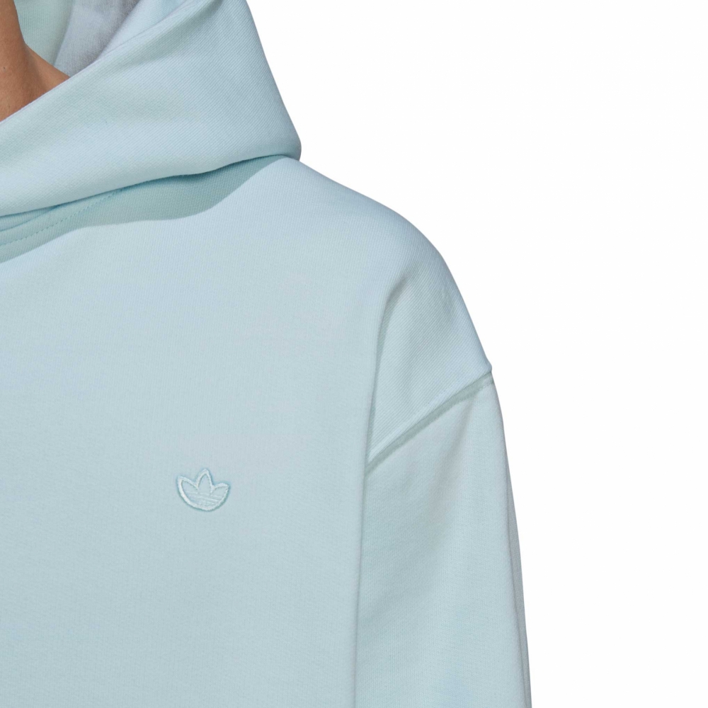 Baby blue adidas hoodie hot sale