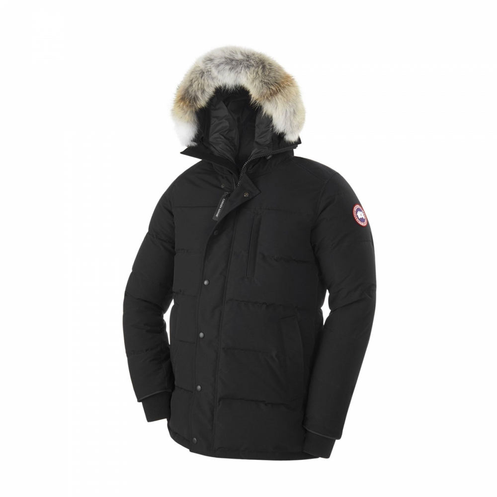Canada 2025 goose 3805m